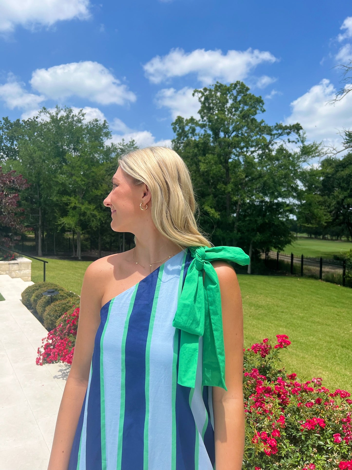 Blue and Green maxi dress